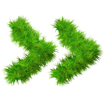 High resolution conceptual grass symbol isolated