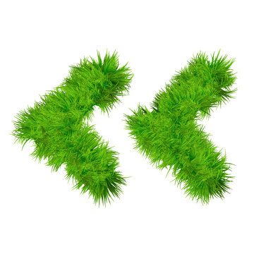 High resolution conceptual grass symbol isolated