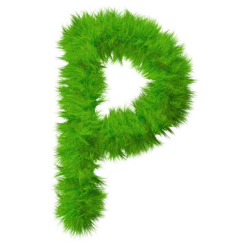 High resolution grass font isolated on white background
