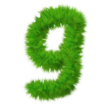 High resolution grass font isolated on white background
