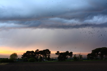 Poster - Beautiful rural scenery at sunset,