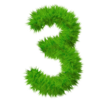 High resolution grass number isolated on white background
