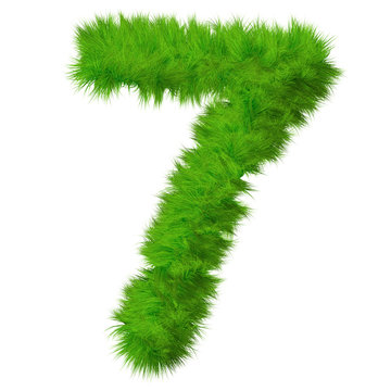 High resolution grass number isolated on white background