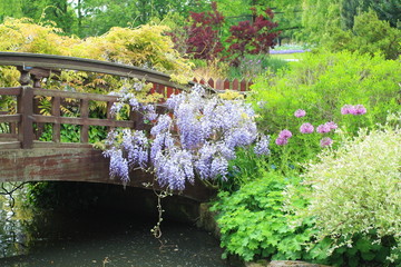 Poster - Lovely spring garden