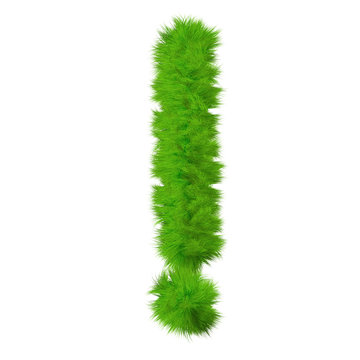 High resolution conceptual grass symbol isolated on white