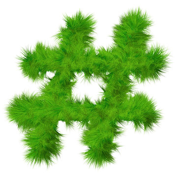 High resolution conceptual grass symbol isolated on white