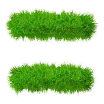 High resolution conceptual grass symbol isolated on white