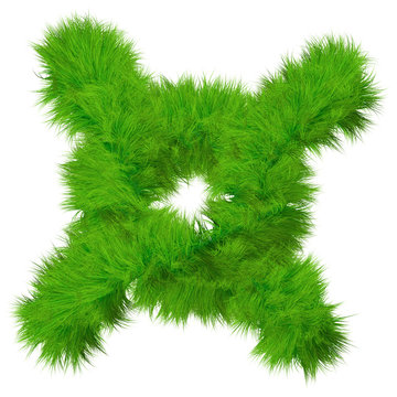 High resolution conceptual grass symbol isolated on white