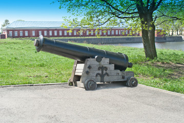 Old cannon