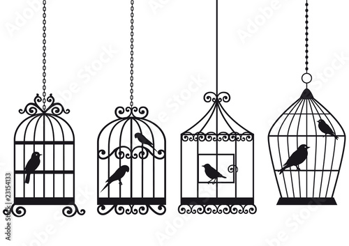 Naklejka na drzwi vintage birdcages with birds