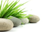 Fototapeta Desenie - Zen stone with fresh grass