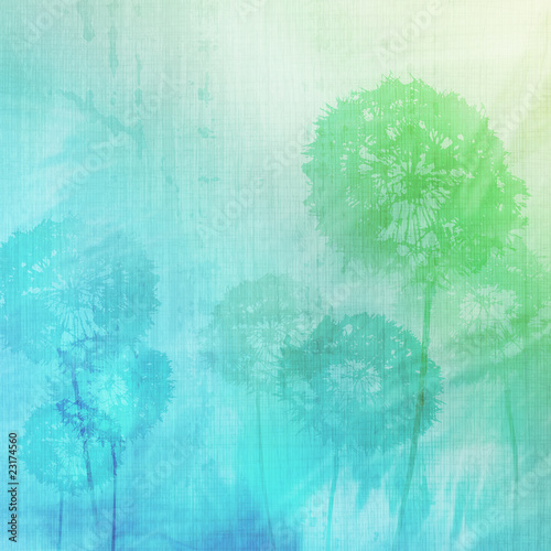 Fototapeta na wymiar grunge background with dandelions