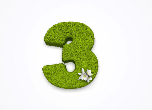 Grass number isolated on white background - number three
