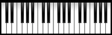 Set Of Piano Keys In Illustration, Black And White