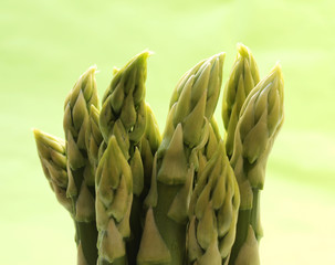 Spargelspitzen Grüner Spargel