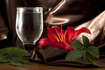 Red Lily with Glass