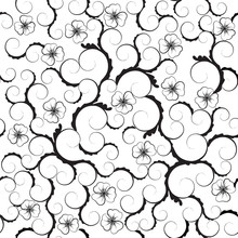Beauty Black White Decorated Seamless Floral Pattern