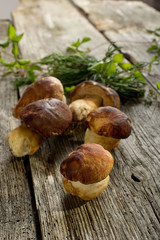 Poster - cep on wood- porcini su legno