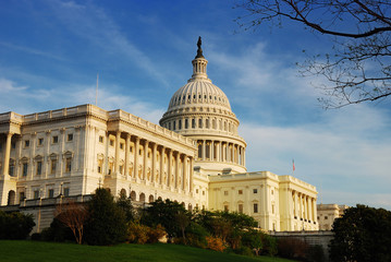 Wall Mural - Capitol Hill Building in detail, Washington DC