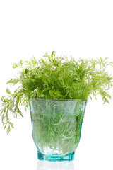 Poster - fresh dill