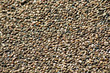 Closeup Texture of Sand Grains