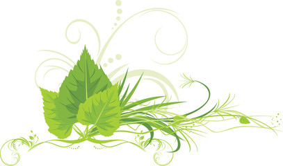 Wall Mural - Birch leaves with grass and decorative ornament. Vector