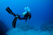 back view of a scuba diver
