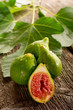 slice fig with leaf - fico tagliato