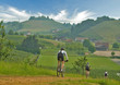 Mountainbiker im Schwarzwald
