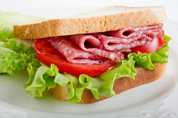 Wall Mural - sandwich with salami - sandwich al salame