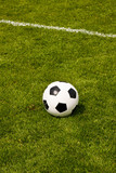 Fototapeta Sport - Fußball, football