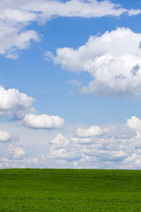 Wall Mural - Green field