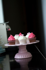 Canvas Print - Cupcakes