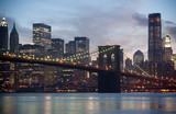 Fototapeta Koty - Brooklyn Bridge and Manhattan Skyline