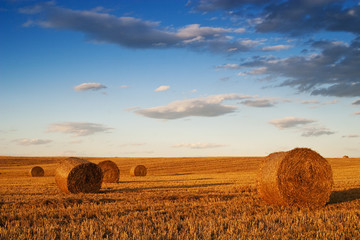 Wall Mural - Farmers field full of hay bales