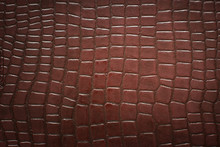 Crocodile Skin Pattern
