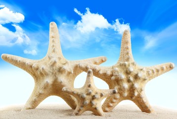 Wall Mural - holiday beach concept