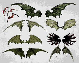 Bat Wings