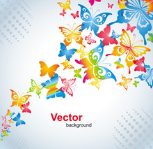 Colorful Background With Butterfly. Vector.