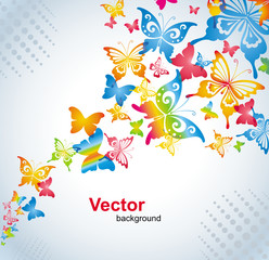 Poster - Colorful background with butterfly. Vector.