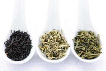 Assortment of dry tea leaves in spoons