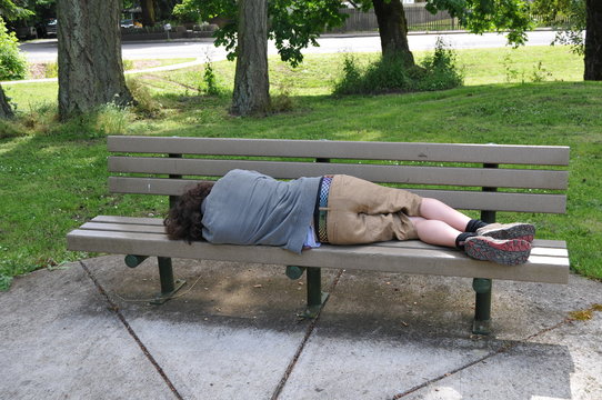 Wall Mural -  - Sleeping on a bench in a public park