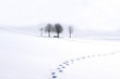 canvas print picture - Winterimpression