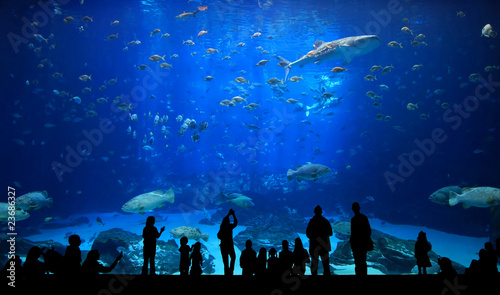 Fotografía Large Aquarium - People Silhouettes