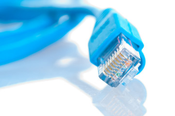 network cable