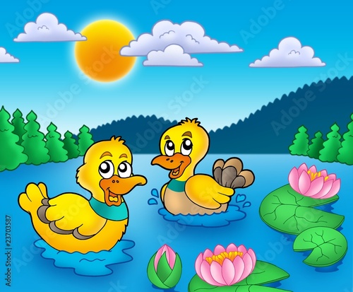 Jalousie-Rollo - Two ducks and water lillies (von Klara Viskova)