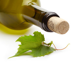 wine bottle and green grape vine