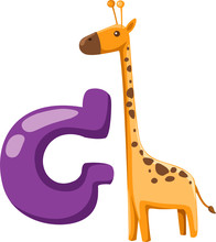 Alphabet G For Giraffe