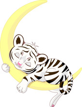 Cute White Tiger Cub Sleeping On The Moon