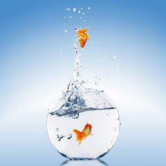 Canvas Print - Goldfish jump